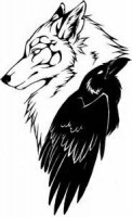avatar de sandy-wolfcrow