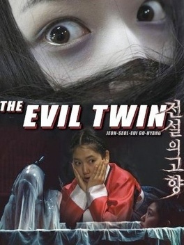 Affiche du film The Evil Twin