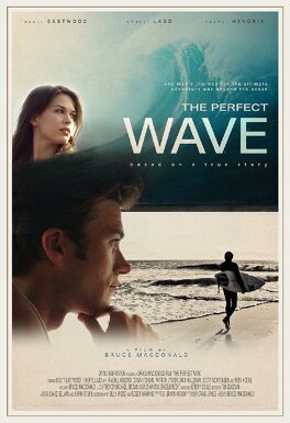 Affiche du film The Perfect Wave