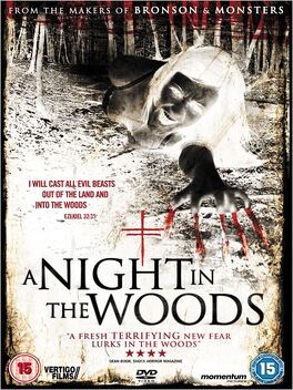 Affiche du film A Night in the Woods