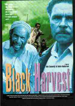 Couverture de Black Harvest