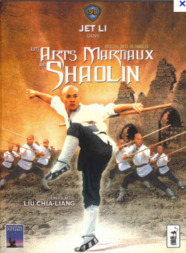 Affiche du film Les arts martiaux de Shaolin
