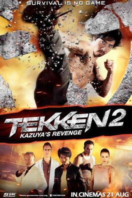 Affiche du film Tekken 2