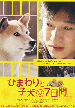 Couverture de 7 Days of Himawari and her puppies