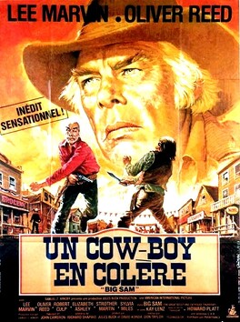 Affiche du film Un Cow-Boy En Colère