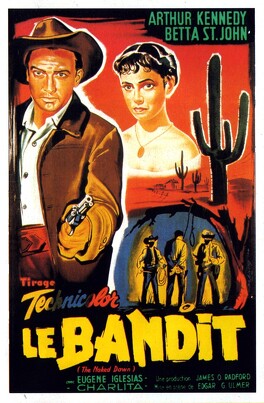 Affiche du film Le Bandit