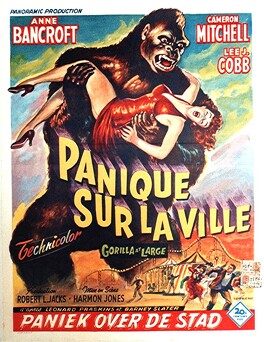 Affiche du film Panique Sur La Ville