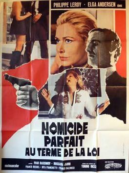 Affiche du film Homicide Parfait Au Terme De La Loi