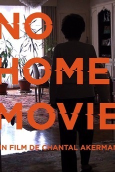 Couverture de No home movie