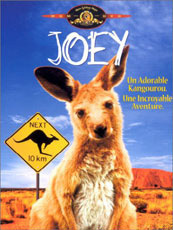 Affiche du film Joey