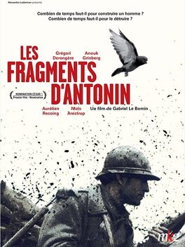 Affiche du film Les fragments d'Antonin