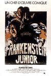 couverture Frankenstein Junior