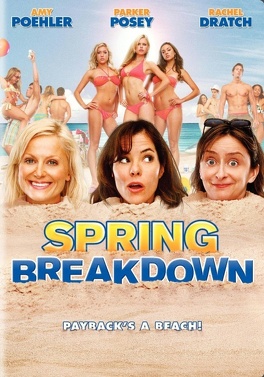 Affiche du film Spring Breackdown