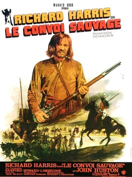 Affiche du film Le Convoi Sauvage