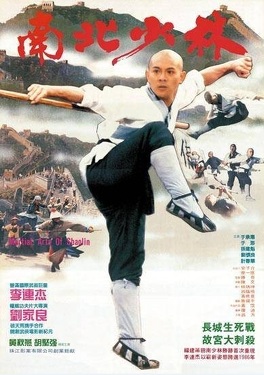 Affiche du film Le Temple de Shaolin
