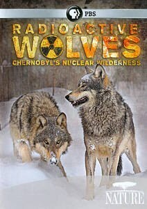 Couverture de Les loups de Tchernobyl