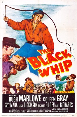 Affiche du film The Black Whip