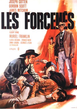 Affiche du film Les Forcenés