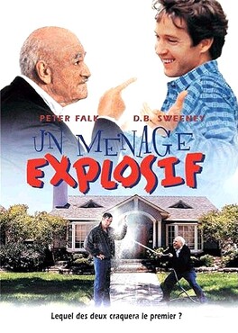 Affiche du film Un Menage Explosif