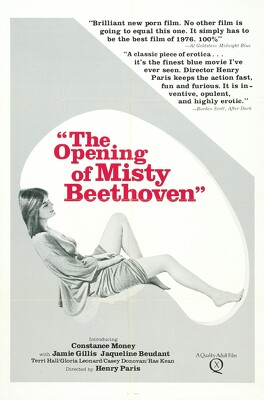 Affiche du film L'Initiation De Misty Beethoven