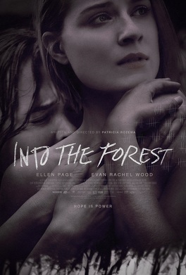 Affiche du film Into the forest