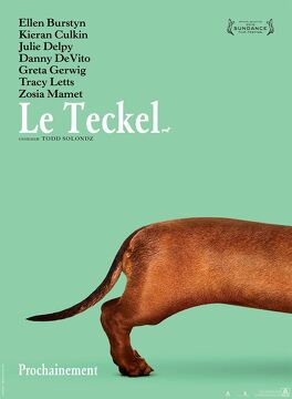 Affiche du film Le Teckel