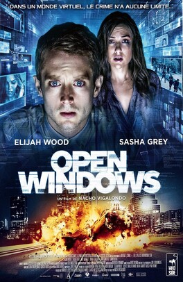 Affiche du film Open windows