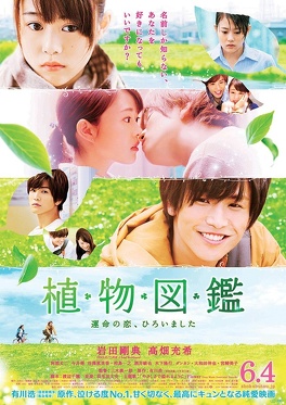 Affiche du film Evergreen Love