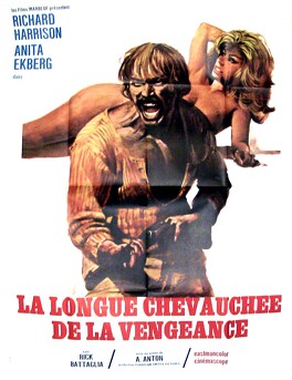 Affiche du film La Longue Chevauchée De La Vengeance