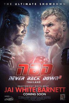 Affiche du film Never back down: No Surrender