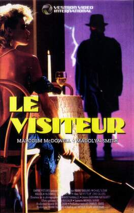 Affiche du film Le Visiteur