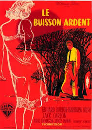 Affiche du film Le Buisson Ardent