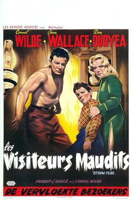 Affiche du film Les Visiteurs Maudits