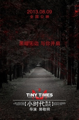 Affiche du film Tiny Times 2.0