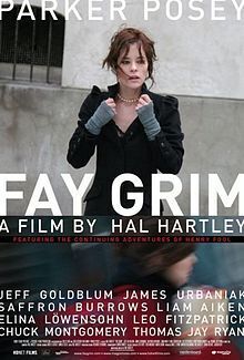 Affiche du film Fay Grim