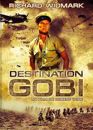 Affiche du film Destination Gobi