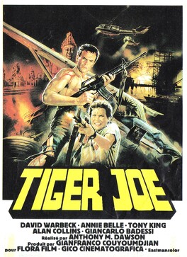 Affiche du film Tiger Joe