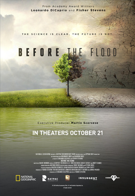Affiche du film Before the flood