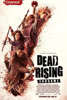 Affiche du film Dead Rising : Endgame
