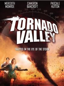 Affiche du film la vallée des tempêtes