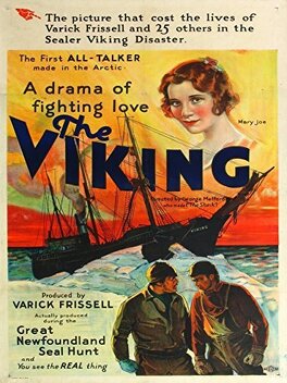 Affiche du film The Viking
