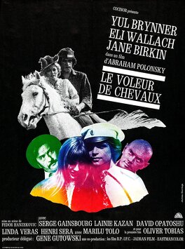 Affiche du film Le Voleur De Chevaux