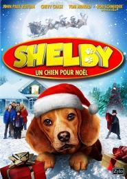 Affiche du film shelby