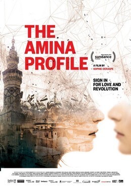 Affiche du film The Amina Profile