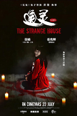 Affiche du film The Strange House