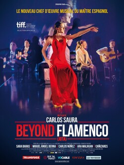 Couverture de Beyond Flamenco