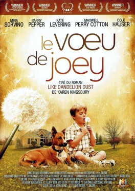 Affiche du film Le Voeu De Joey