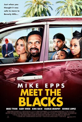 Affiche du film Meet The Blacks