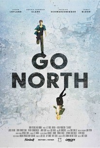Affiche du film Go North
