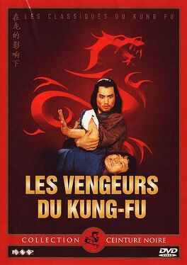 Affiche du film Les vengeurs du kung-fu